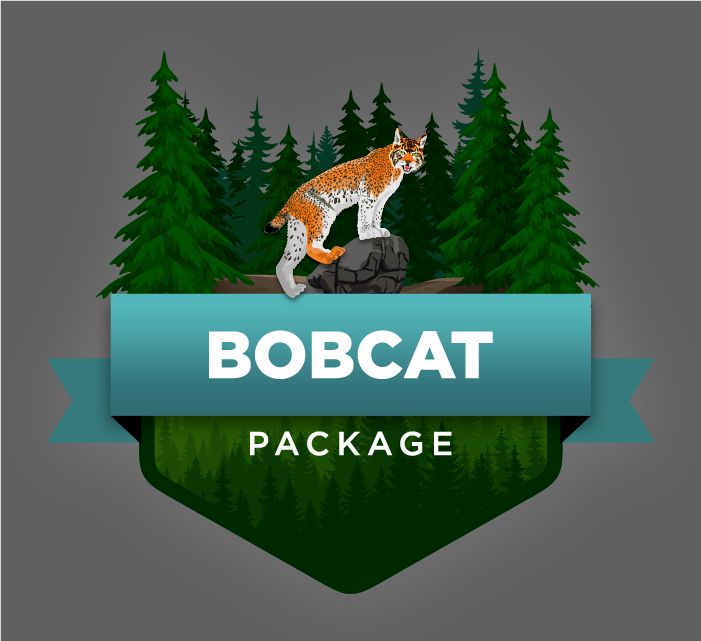 Cougarstone Lawn Care Bobcat Package